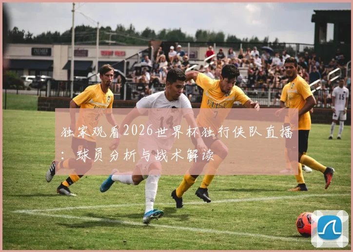 独家观看2026世界杯独行侠队直播：球员分析与战术解读